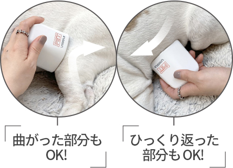 라이툴스 펫 LED 블록 제품 이미지