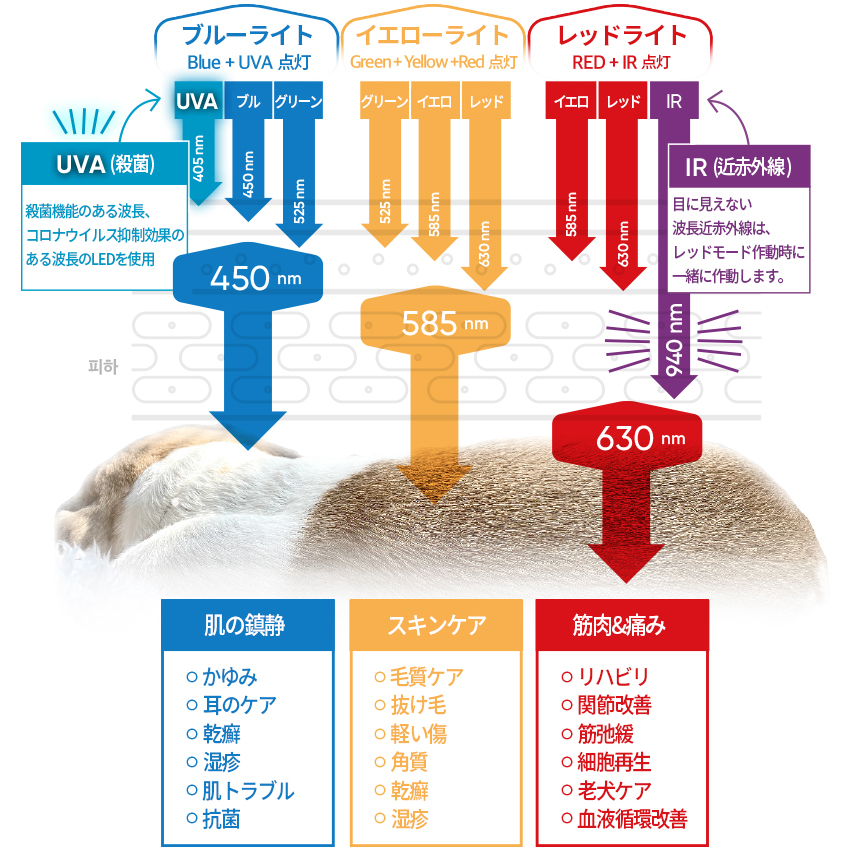 라이툴스 펫 LED 블록 3가지 모드