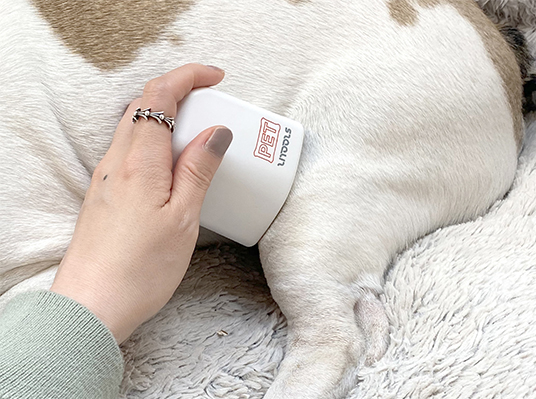 joint cafe 이미지