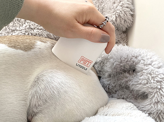 muscle cafe 이미지