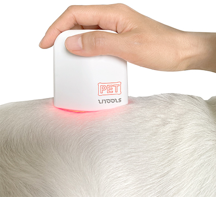 라이툴스 펫 LED 블록 제품 사용 이미지