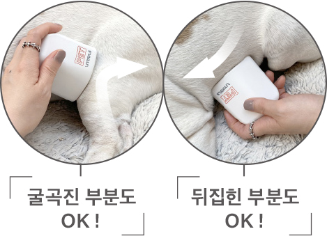 라이툴스 펫 LED 블록 제품 이미지