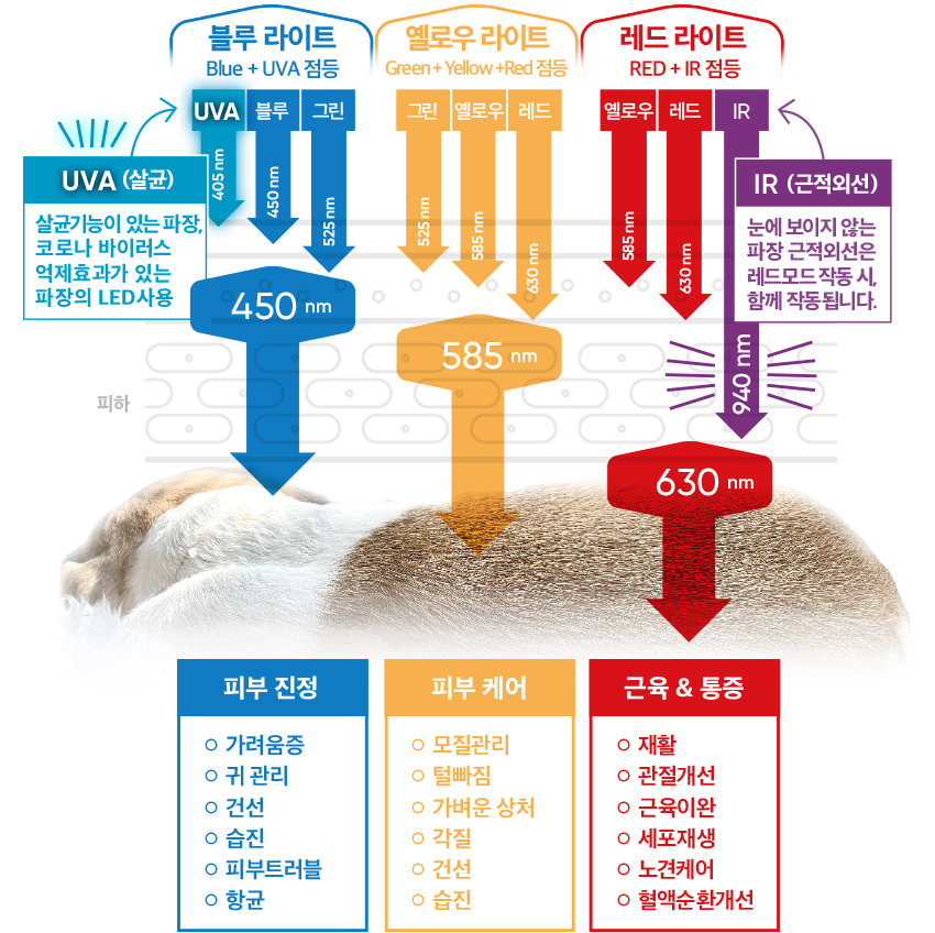 라이툴스 펫 LED 블록 3가지 모드